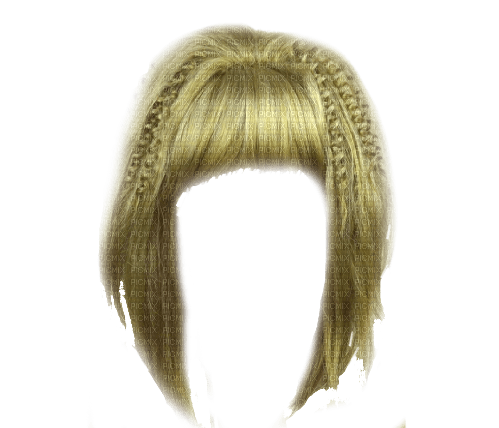 Hair - besplatni png