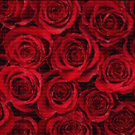 Red roses - GIF animado grátis