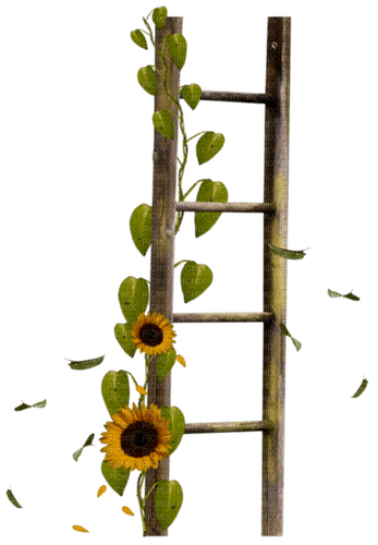 Escalera de madera con girasolles - darmowe png