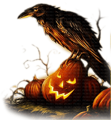 soave deco bird halloween pumpkin brown orange - ücretsiz png