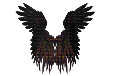 siivet asuste the wings accessories - zdarma png