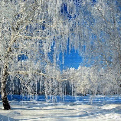 winter  background by nataliplus - Free PNG