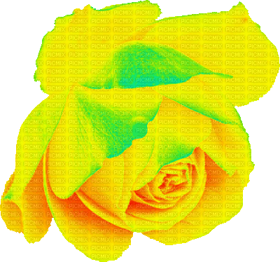 Water rose. Augenia made with love. - GIF animado gratis