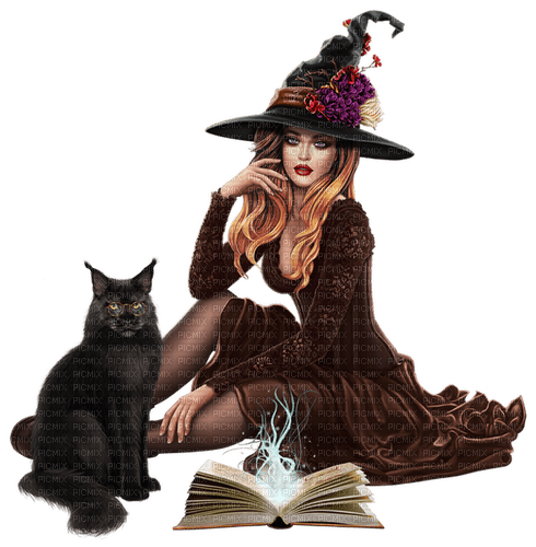 halloween witch with cat by nataliplus - безплатен png