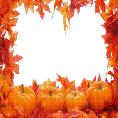 frame autumn orange kikkapink pumpkins - png grátis