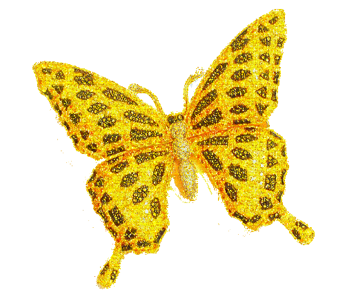 golden butterfly - GIF เคลื่อนไหวฟรี