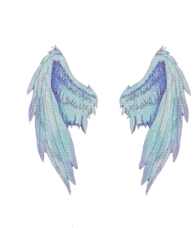 Wings - png ฟรี