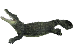 Kaz_Creations Crocodile Alligator - бесплатно png