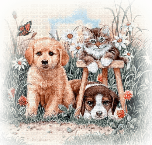 dog and cat milla1959 - Free PNG