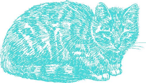 Drawing. Cat. Gif. Leila - Animovaný GIF zadarmo
