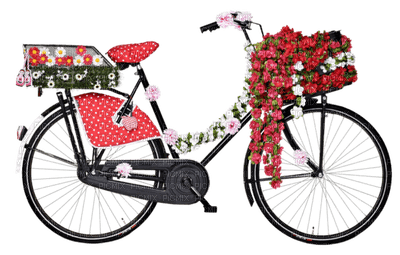 Kaz_Creations Bicycle Bike Trike - бесплатно png