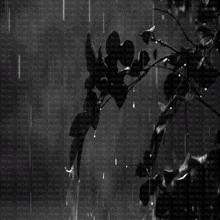 regen rain milla1959 - GIF animado grátis