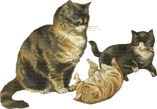 vintage cats playing - PNG gratuit