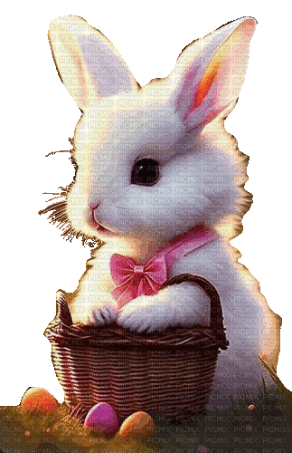 hase rabbit ostern easter - GIF animado grátis