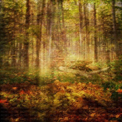 Kaz_Creations Deco  Backgrounds Background Autumn - ilmainen png