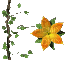 fleurs - GIF animate gratis