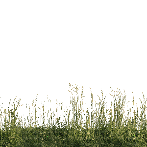 Трава - Gratis geanimeerde GIF