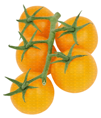 Vegetables - 免费PNG
