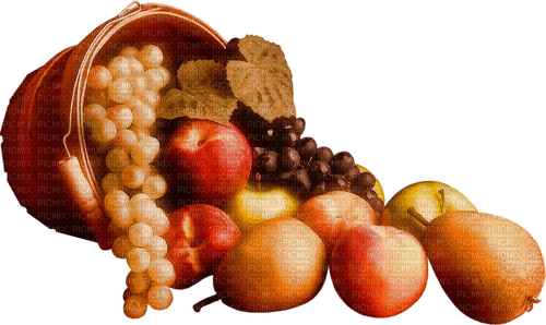 autumn fruit by nataliplus - darmowe png