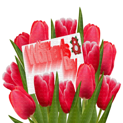 happy womens day tulips - zdarma png