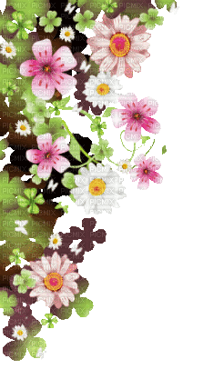 soave deco flowers spring  clover animated - GIF animasi gratis