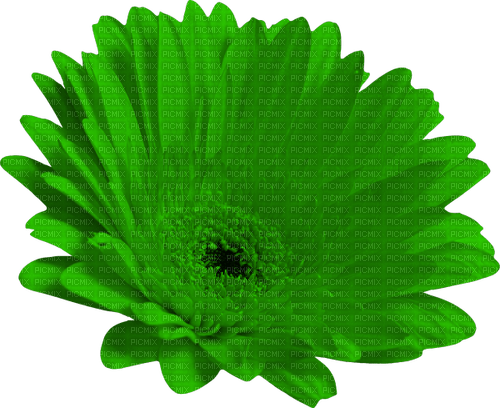 Flower.Green - png gratuito