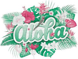 soave text summer  deco flowers tropical aloha - 無料png