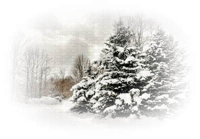 winter hiver paysage landscape forest snow neige fond background - gratis png