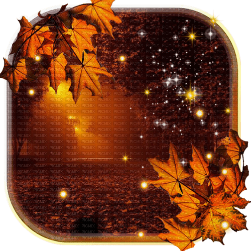 fall autumn leaf leaves feuille - PNG gratuit