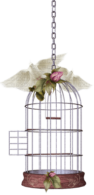 bird cage anastasia - фрее пнг