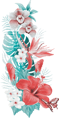 soave deco summer animated branch tropical flowers - Ücretsiz animasyonlu GIF