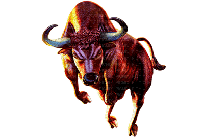 Spanish bull bp - png gratuito