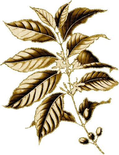 blad- guld --leaf branch-glitter-gold-gold - Бесплатный анимированный гифка