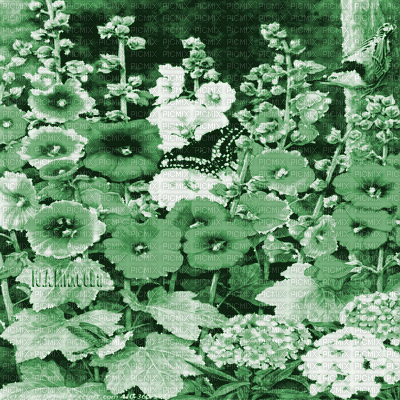 Y.A.M._summer landscape background flowers green - GIF เคลื่อนไหวฟรี