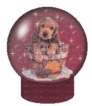 puppy snow globe - Gratis geanimeerde GIF
