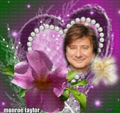 Steve Perry Purple Heart Frame - 免费PNG