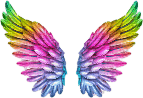 Angel/Fairy Wings - Free PNG