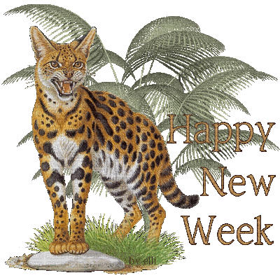 leopard_happy new week - Free animated GIF