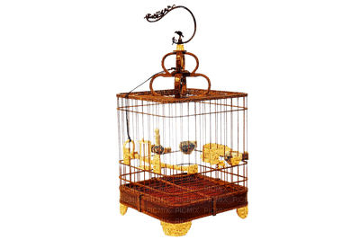 birdcage bp - Free PNG