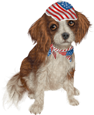 Kaz_Creations American America Dog Pup - Free PNG