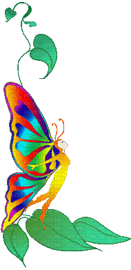 elf elfe fairy fee papillon  butterfly fantasy effect colored    gif anime animation animated - GIF animé gratuit