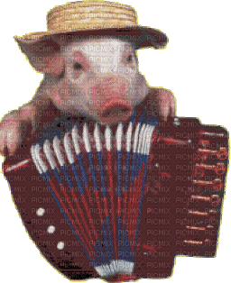 pig schwein porc farm animal animals animaux mignon gif anime animated animation spring summer ete tube music fun - GIF animado gratis