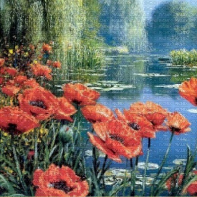 poppy coquelicot fond loly33 painting paysage - 免费PNG