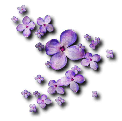Purple flowers flower overlay deco [Basilslament] - png ฟรี