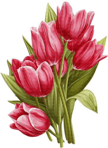 Tulpen, rot, Vintage, Blumen - Free PNG