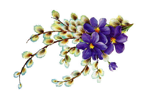 Frühling, Blumen, Weidekätzchen - Zdarma animovaný GIF
