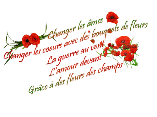 loly33 texte - darmowe png