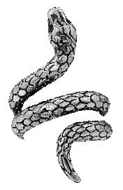 snake ring - GIF animate gratis