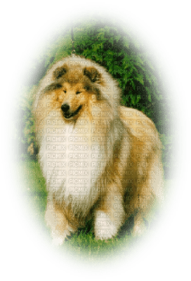 cecily-chien - png gratis