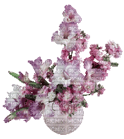 Bouquet fleurs mauves - GIF animado grátis